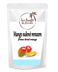 Freeze-dried mango slices 100 g